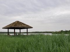 -西青郊野公园