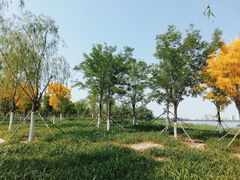 -天津东丽湖风景区