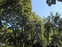 -晓港公园