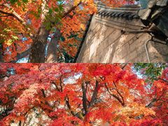 -青岛崂山太清宫