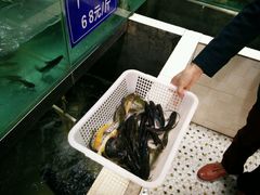 -历蜀记·家宴老火锅(总店)