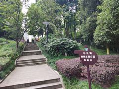 -重庆彩云湖湿地公园