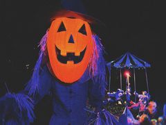 -七彩云南欢乐世界