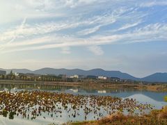 -深业半汤御泉庄温泉