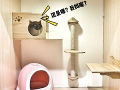 -Double Rui宠物酒店