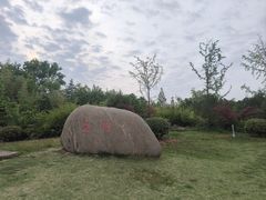 -南湖国家城市湿地公园
