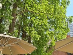 -一尺花园(安和花园店)