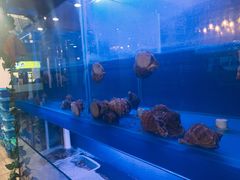 -食客烧烤(罗道庄店)