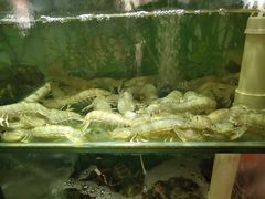 -蓝珊甄选海鲜自助·火锅大排档(近阿那亚店)