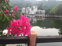 -广州市干部健康管理中心