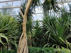 -祥源·阜阳生态乐园