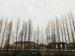 -扬州瘦西湖汇金酒店