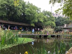 -古真记钵钵鸡(老公园店)