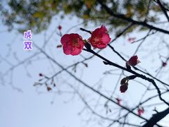 -广州市白云山风景名胜区