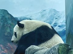 -武汉动物园