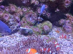 -成都浩海立方海洋公园