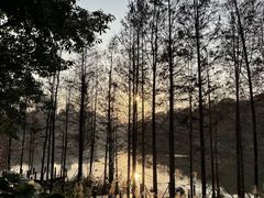 -重庆彩云湖湿地公园