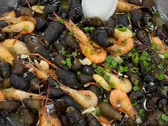 -广州白江湖森林公园