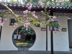 -上海醉白池公园
