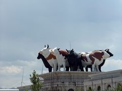 -特克斯八卦城