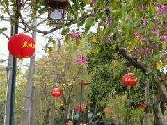 -惠州西湖丰渚园