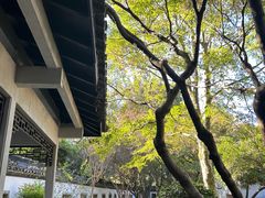-杭州植物园