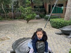 -广东惠东海龟国家级自然保护区