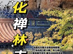 -遵化市禅林寺古银杏风景园