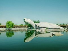-东方巨龟苑景区