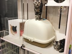 -熊小胖宠物生活馆(天华园店)