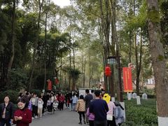 -邓小平故里