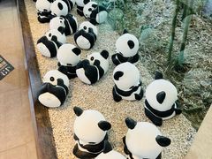 -杭州植物园