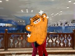 -长沙湘江冰雪世界