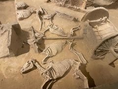 -洛阳周王城天子驾六博物馆