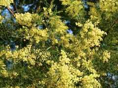 -厦门国家会计学院