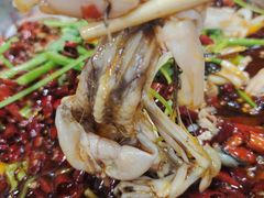 -渔香岛美蛙鱼头火锅(威清路店)