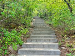 -北京西山国家森林公园