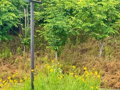 -南京市江宁方山