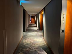 -新加坡瑞士史丹福酒店