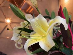 -THE WOODS 简餐 (国贸商城店)