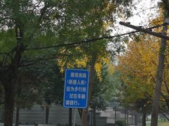 -唐城墙遗址公园