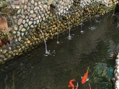 -茶米人台湾料理·精致快简餐