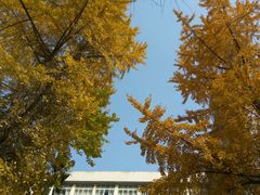 -四川大学华西第四医院