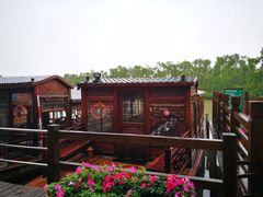 -大湾区中央湿地公园