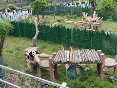 -沈阳森林动物园