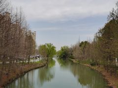 -昆山城市生态森林公园