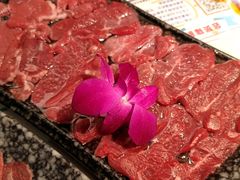 热气鲜羊肉-哥老官重庆美蛙鱼头(宝山龙湖店)