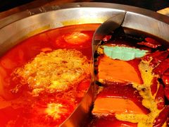 -大龙燚火锅(春熙店)