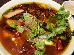 -青叶202都市餐厅(迪诺水镇店)