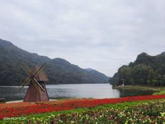 -广州市石门国家森林公园